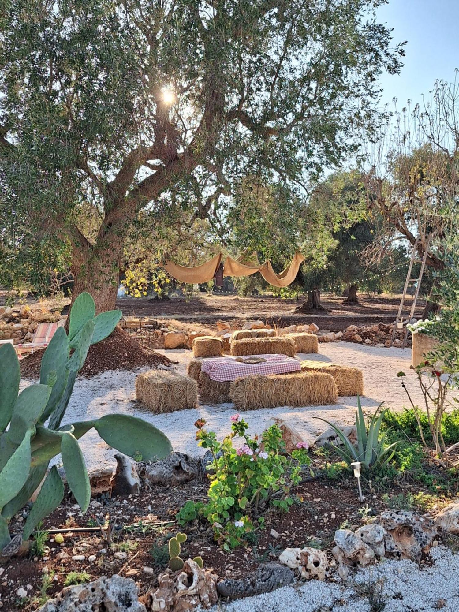 Residenza Anima Mediterranea Francavilla Fontana Luaran gambar