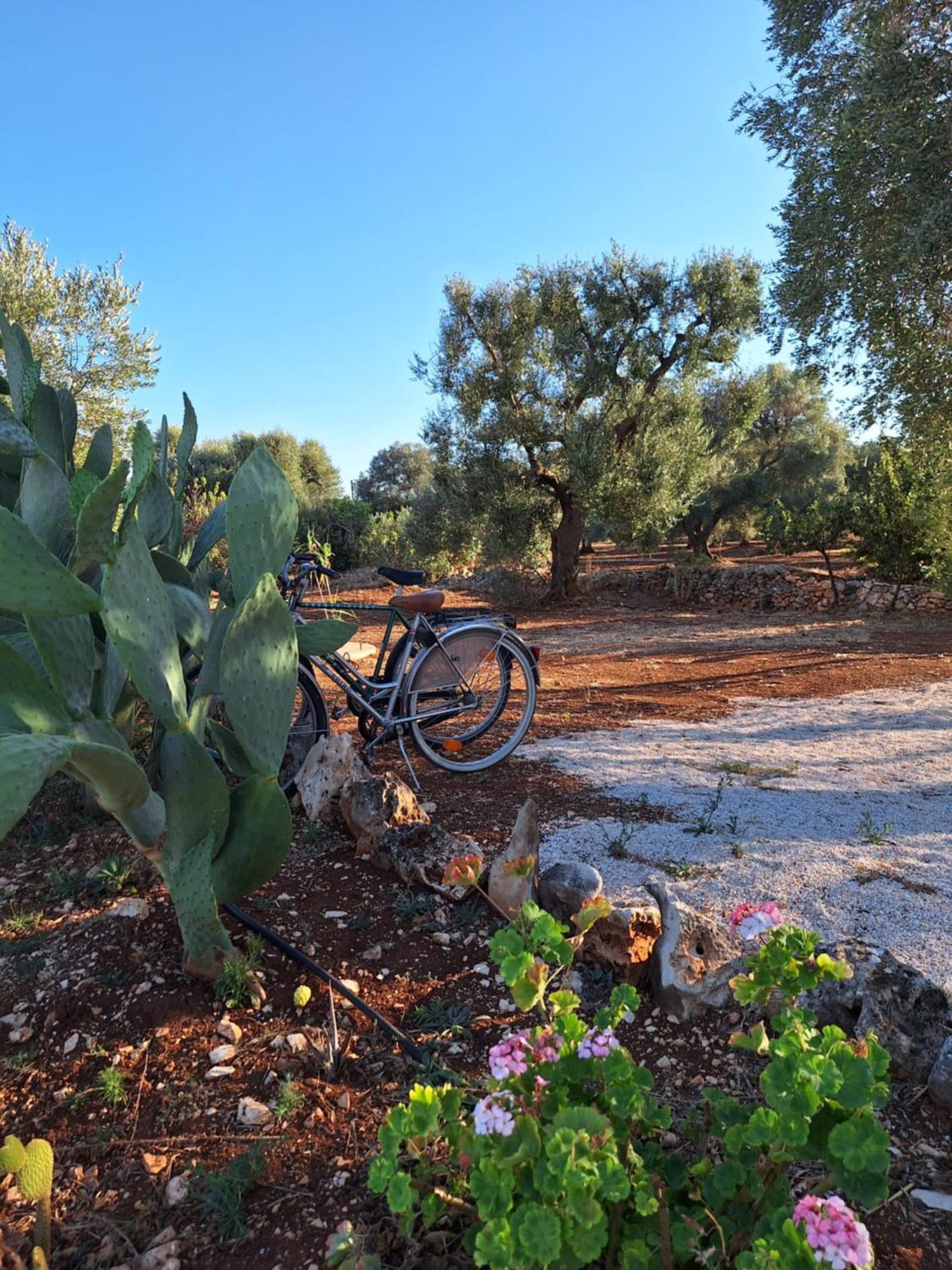 Residenza Anima Mediterranea Francavilla Fontana Luaran gambar